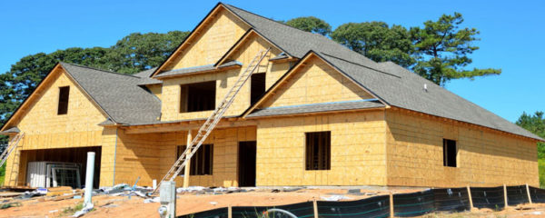 immobilier neuf